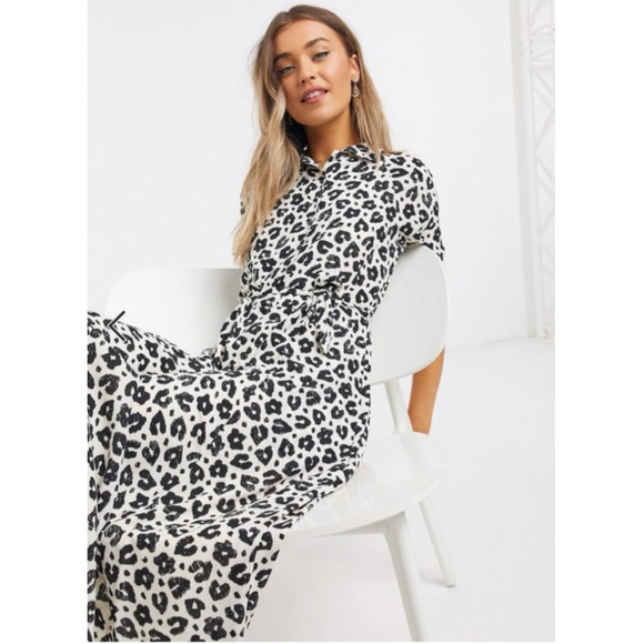 Fabienne Chapot | Brizo Leopard Dress | Size 6/8 - Picture 5 of 15